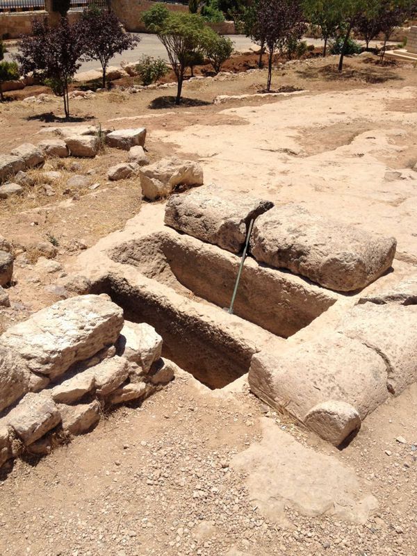  These appear to be Nabataean styled exposure platforms.