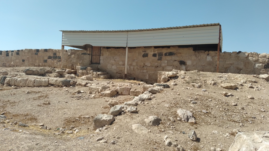 The rear of the mosque.