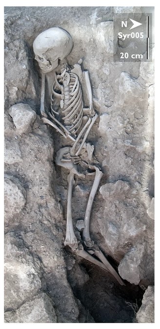 Above: A photo of one of the graves at Tell Qarassa.